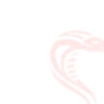 Best pest control services in Coimbatore